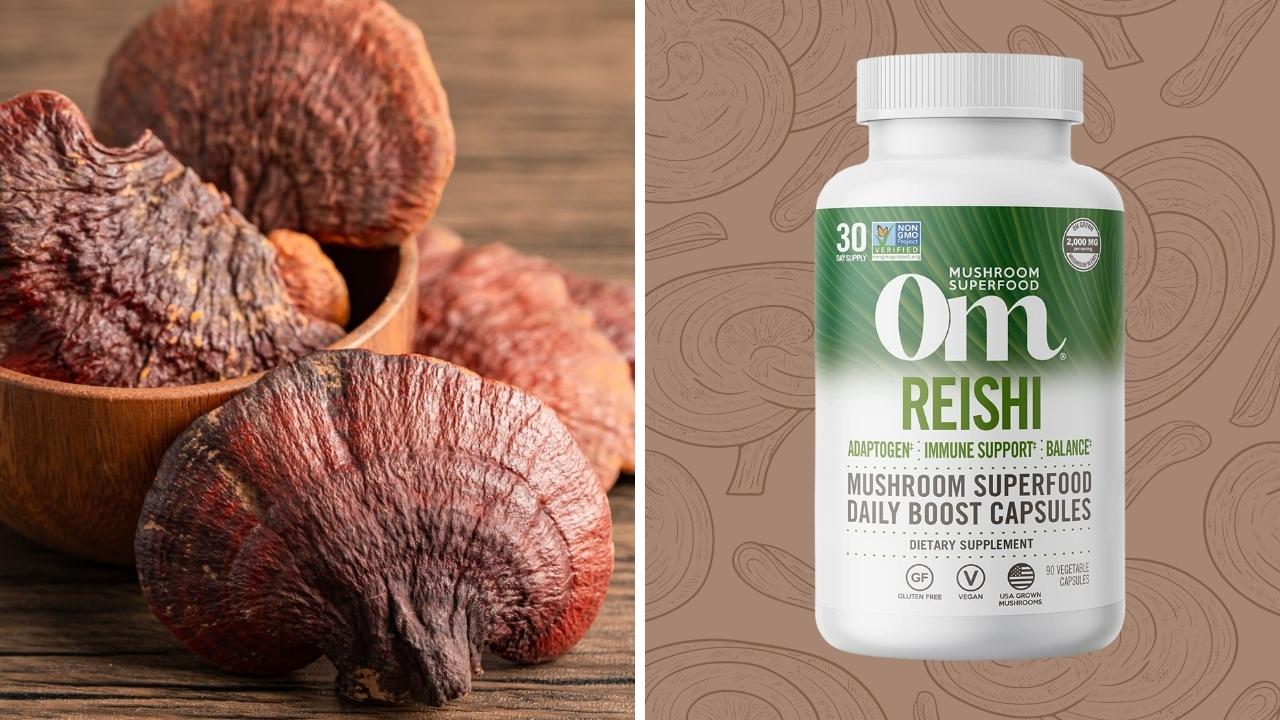Best Reishi Mushroom Supplement