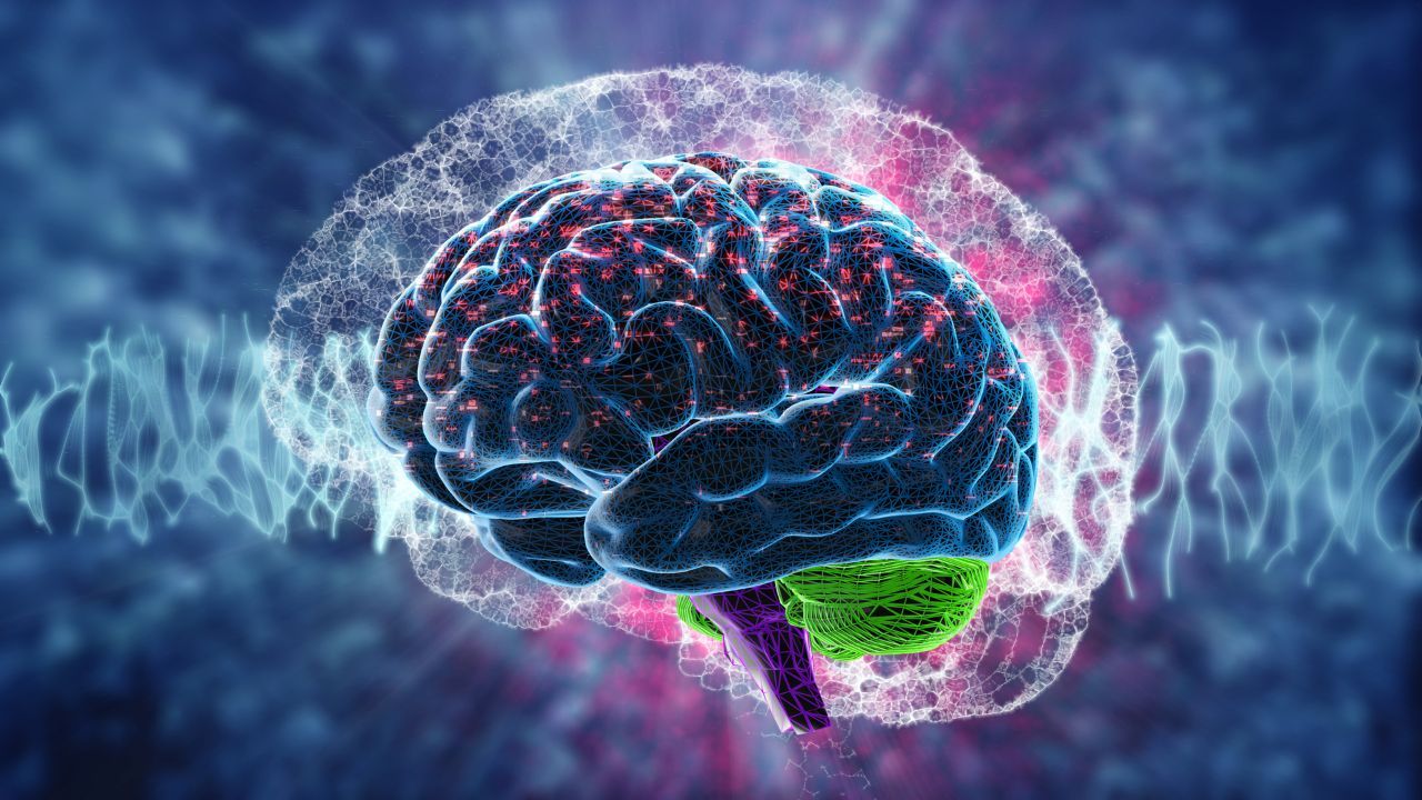 What Are Nootropic Supplements