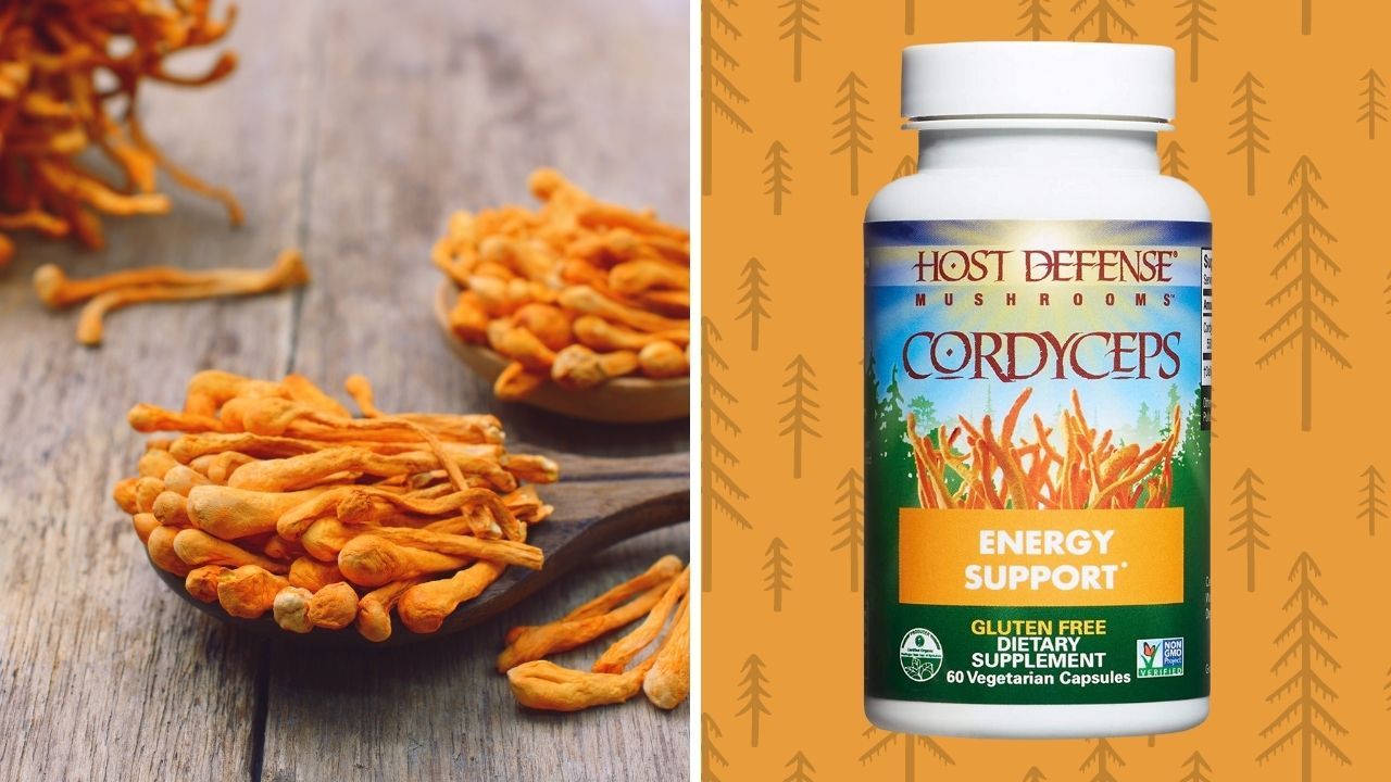 Best Cordyceps Supplement