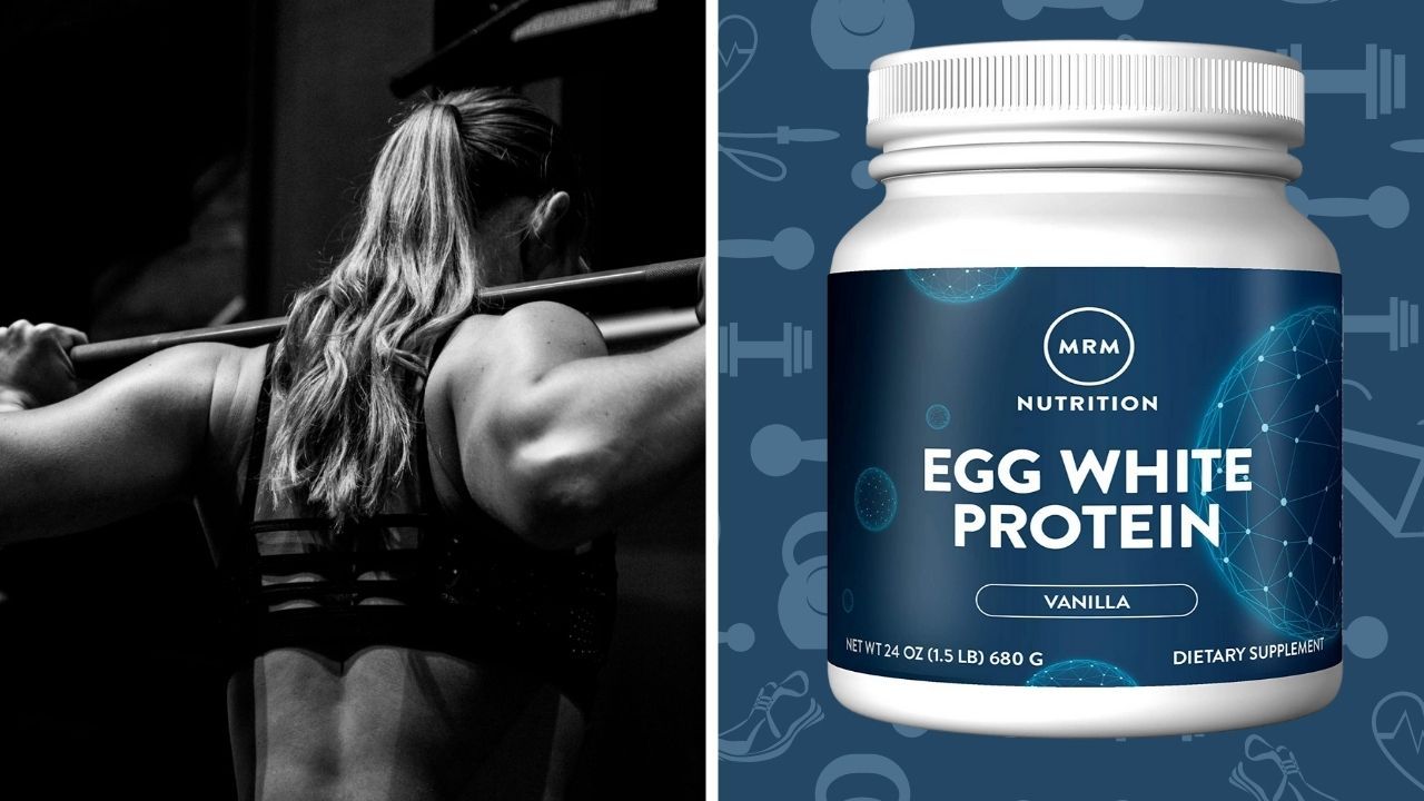 Best Egg Protein Powder