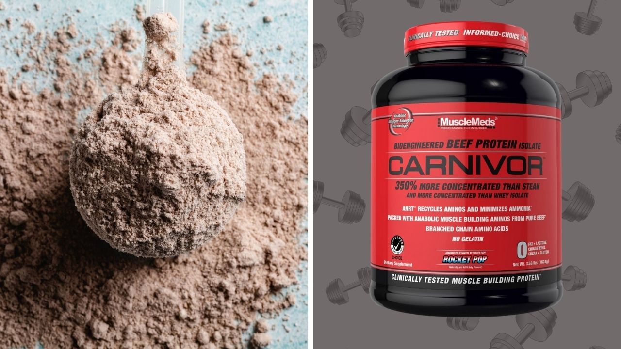 Best Lactose-Free Protein Powder