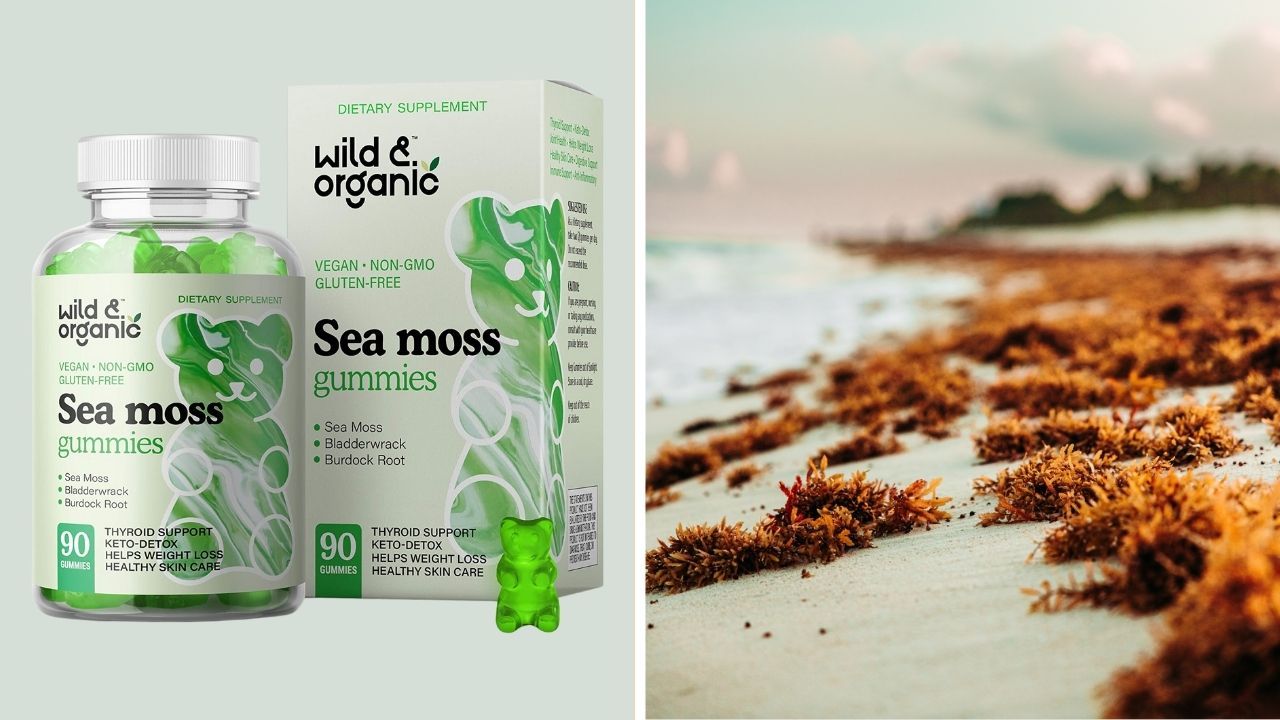 Best Sea Moss Gummies