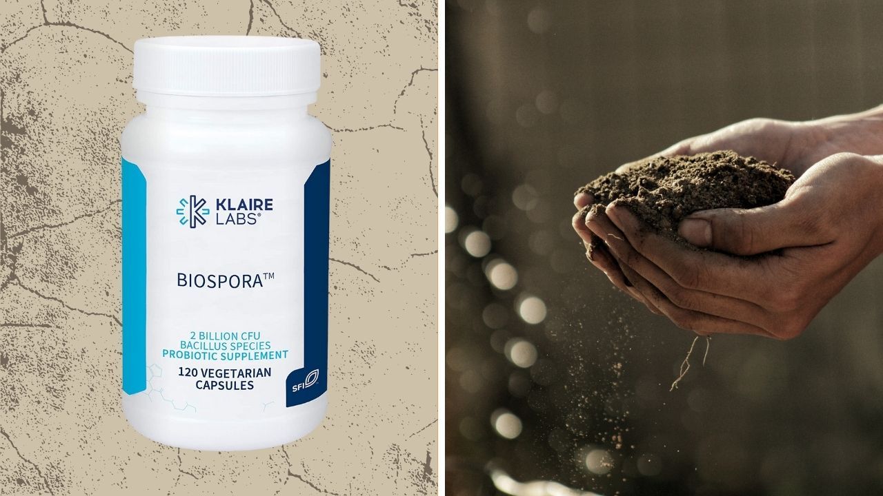 Best Soil Based Probiotics
