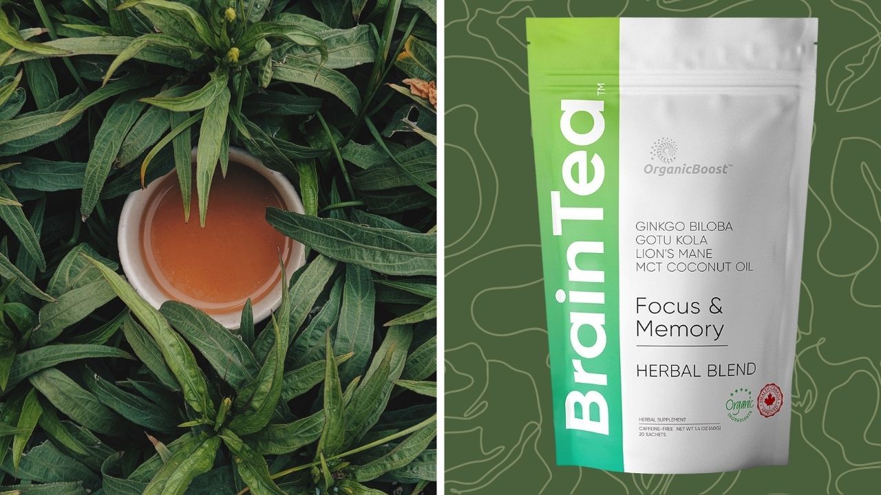 Best Tea For Focus And Energy