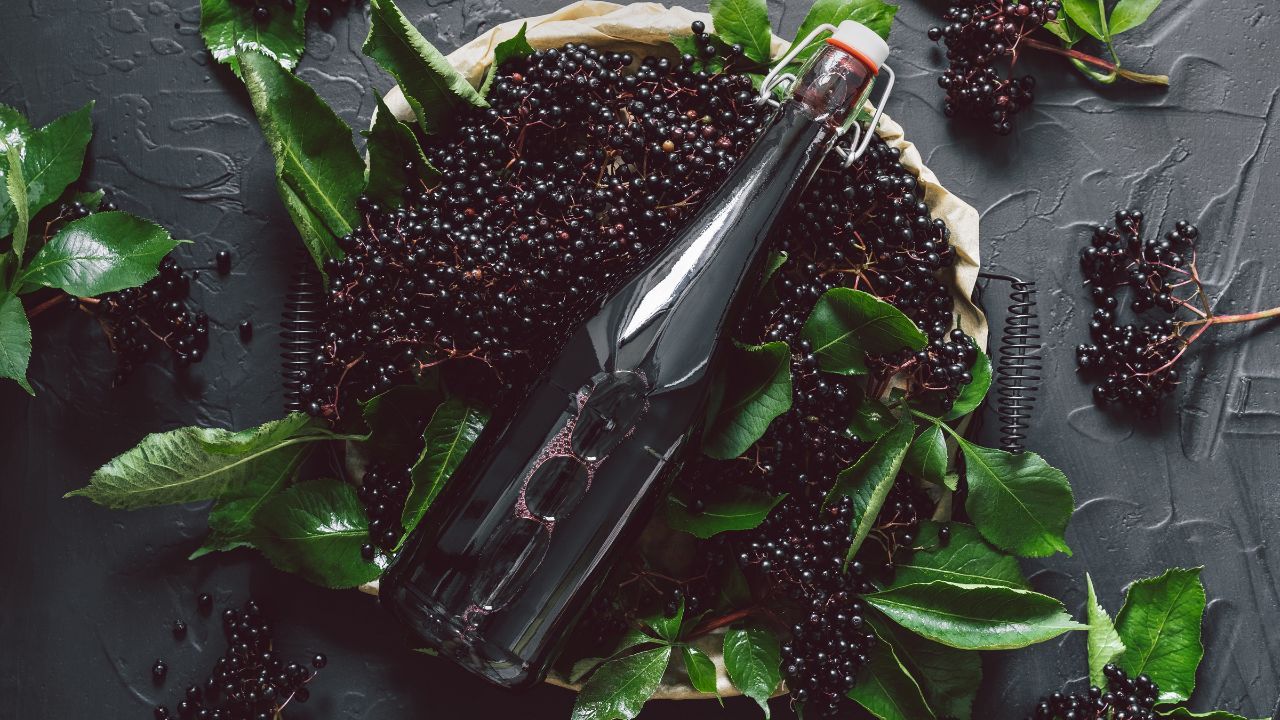 Elderberry Syrup for Allergies