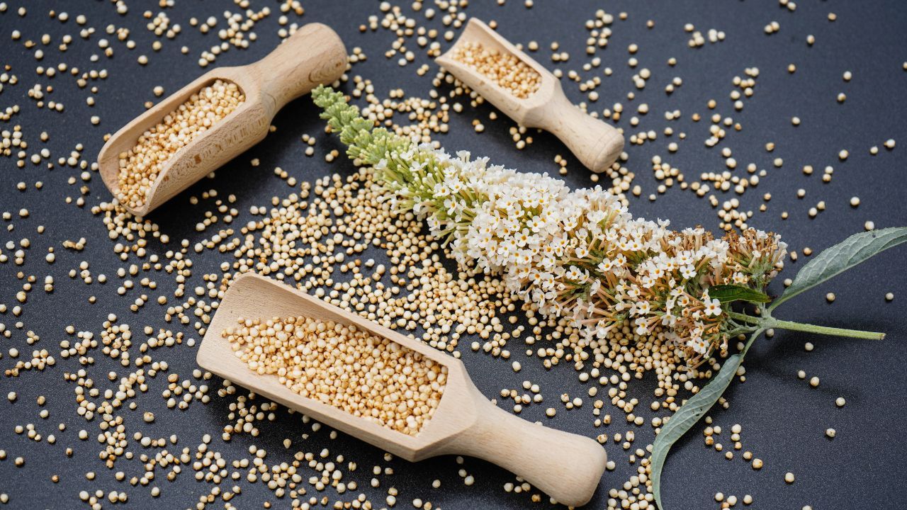 Can I Eat Quinoa While Pregnant