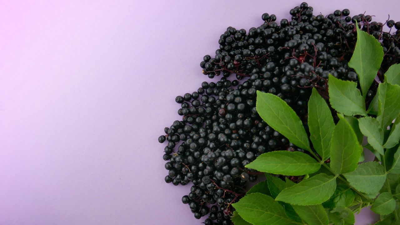 Does Elderberry Lower Blood Pressure