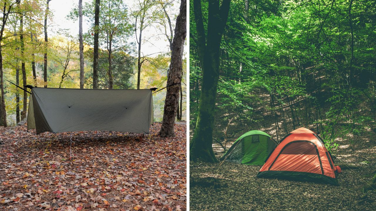 Tarp vs Tent